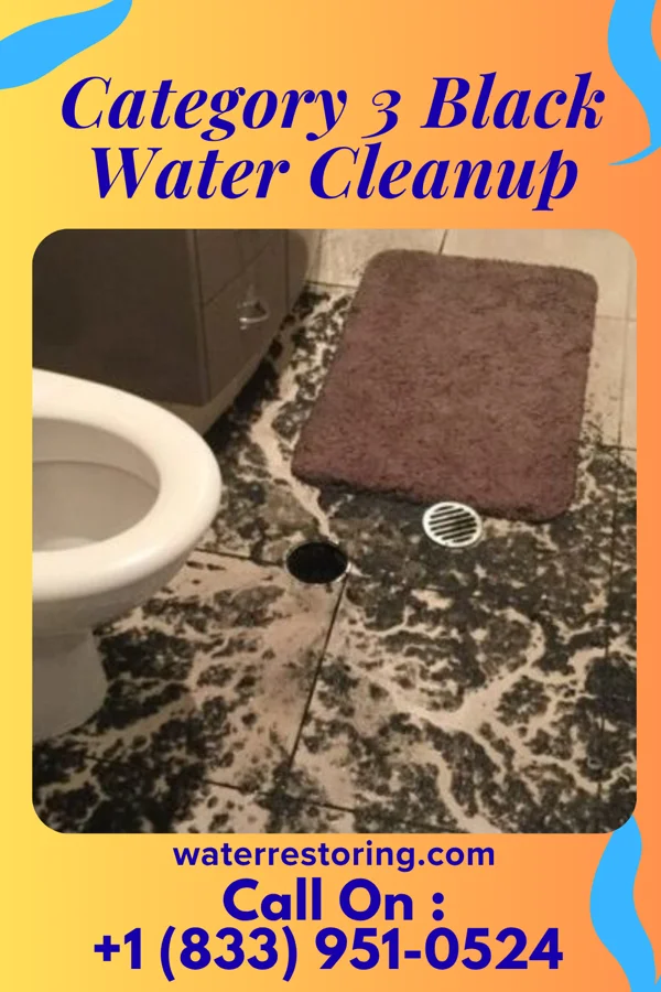 Category 3 Black Water Cleanup in Eveleth, MN